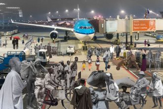 All these travelers, We are Them / Quo Vadis?
