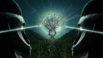 DNA