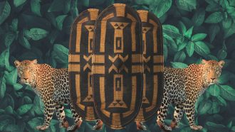 Shield Of The Congo